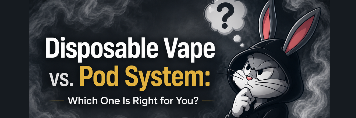 Disposable Vape vs. Pod System: Which One Is Right for You?
