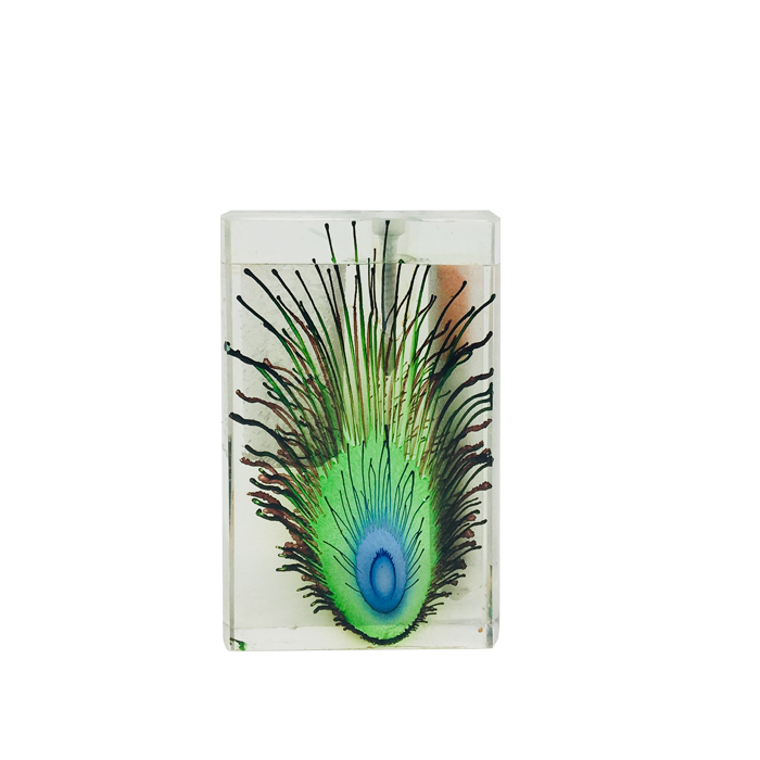 Small Peacock Feather Acrylic Dugout