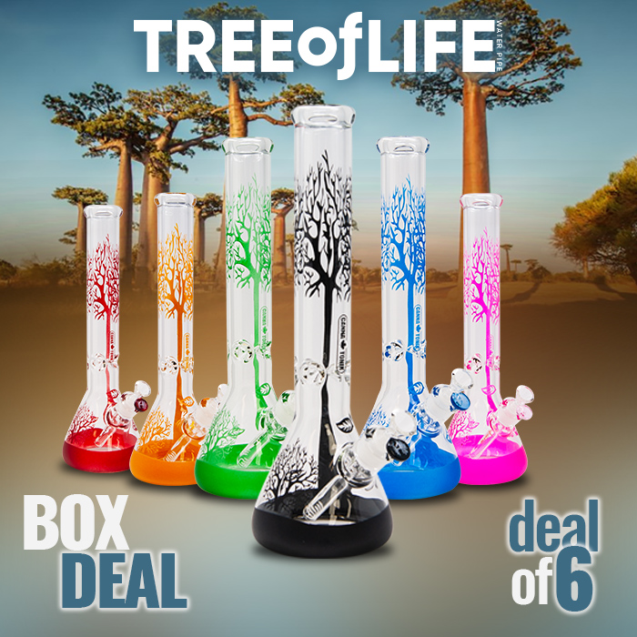 Tree Of Life Cannatonik 16 Inches Bong Box Of 6 Pcs