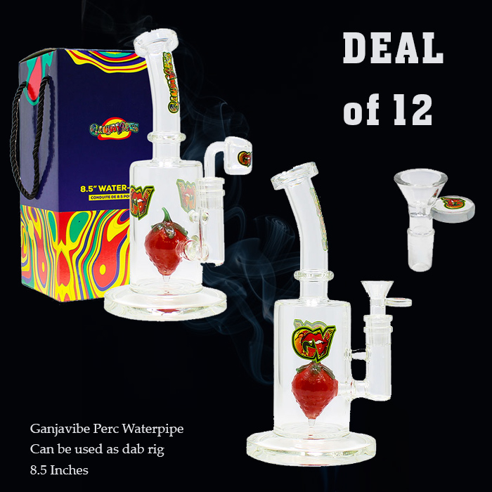 Ganjavibes 8.5 Inches Strawberry Perc Waterpipe & Dab Rig Deal of 12