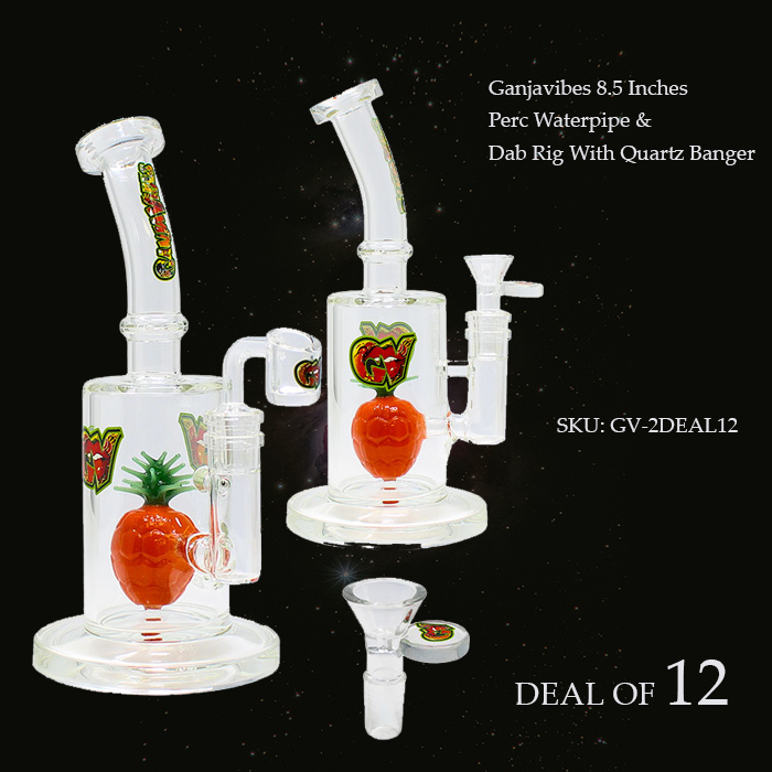 Ganjavibes 8.5 Inches Pineapple Perc Waterpipe & Dab Rig Deal of 12
