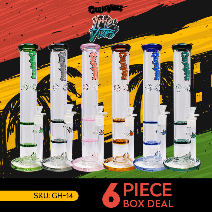 Ganjavibes Honeycomb 14 Inches Two Disk Percolator Glass Bong Deal of 6 By Irie Vibes Series
