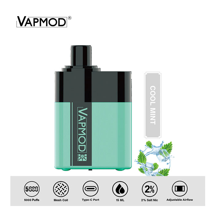 Allspark Cool Mint 5000 Puffs Disposable Vape Ct 10