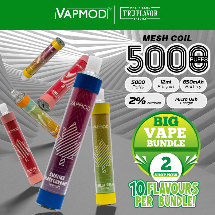 5000 Puffs Disposable Vape Bundle of 10 Different Flavors By Vapmod