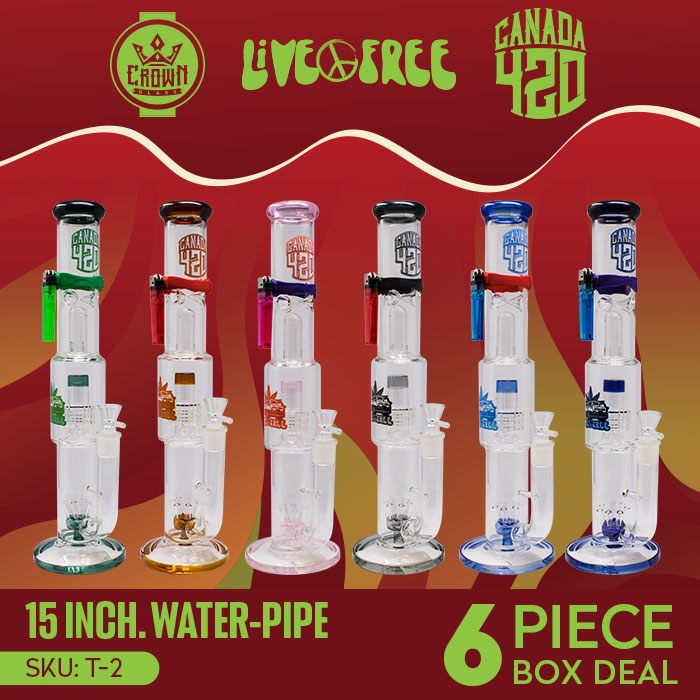 Crown Glass Live Free Series 15 Inches Glass Bong With Magnetic Band And Lighter Deal of 6