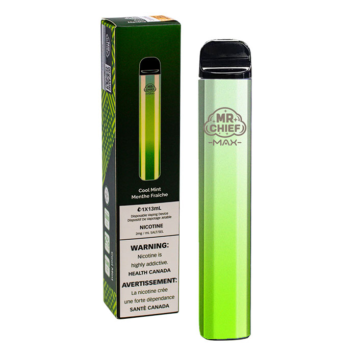 MR Chief Max Cool Mint 10000 Puffs Disposable Vape Ct-10